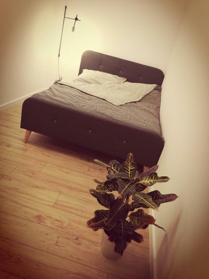 Apartamenty Muzyczna 14 ซูวาว์กี ภายนอก รูปภาพ